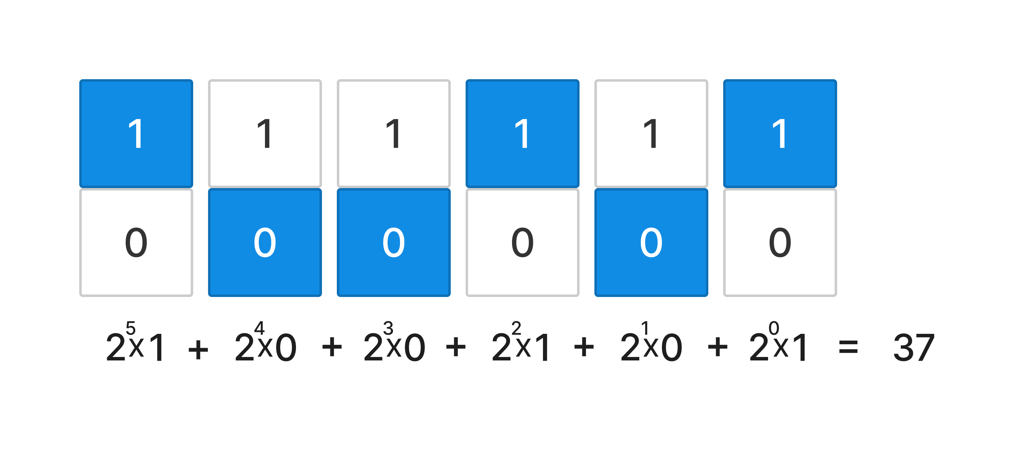 2______1.png